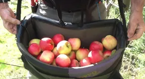 Eureka Farm - Image 2