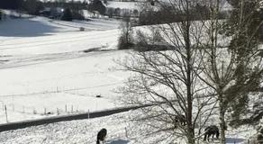 Lussen - Image 3