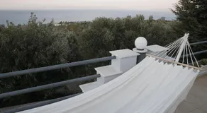 Harmony - Image 2