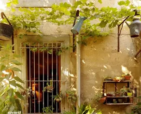 La Vigne Bleue - Image 2