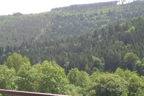 Ferienwohnung Waldblick - Image 4