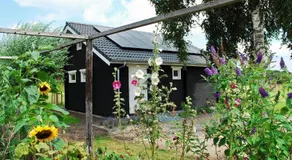 B&B De Veldweg - Image 3