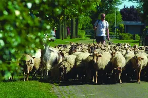 Bospark Lunsbergen - Image 2