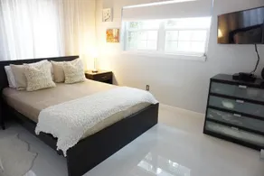 House Number 385 Miami - Image 2