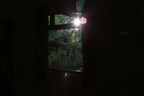 Jivana Goa - Image 2