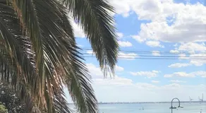 Beach Front Beauty - Image 4