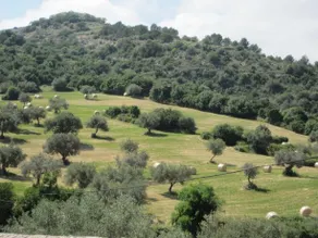 Il Posto Ideale - Image 5