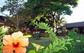 Ikotel - Image 5