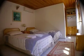 Arriba - Image 4