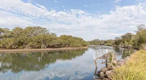 Kookas Nest - waterfront home, tranquil setting - Image 5