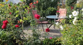 No. 73 - Idylle im Rebenmeer - Image 4