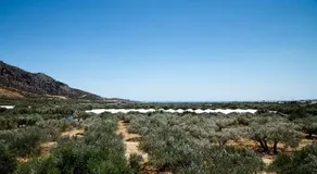 Ierapetra Garden House - Image 4