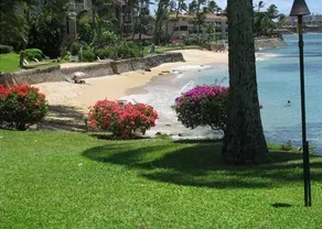 Kuleana 313 1 Bdrm - Image 4