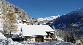 Vieux Mélèze - Image 2