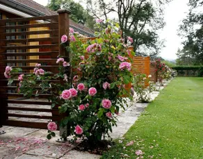 Murhof Hotel & Restaurant - Image 5