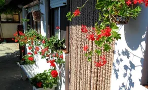 Karkusz Apartman - Image 5