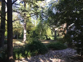 La Casina Di Passaggio - Image 5