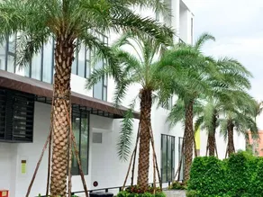 Seaworld Hotel (Shenzhen Jiaochangwei) - Image 5