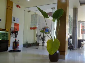Bao Anh Hotel - Image 3
