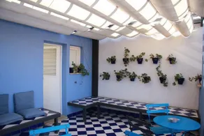 La Casa Azul - Image 4
