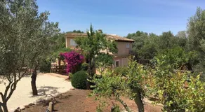 Finca mit privatem Pool und Klima, ruhige Lage - Image 4