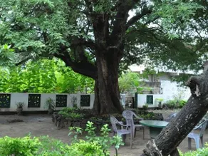 Vikum Lodge - Image 4