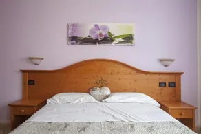 B&B Solan - Image 3