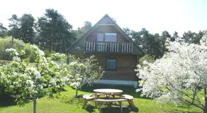 Holiday House Niedras Jurmala - Image 3