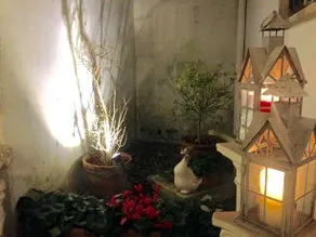 Dolce Farinella - Image 2
