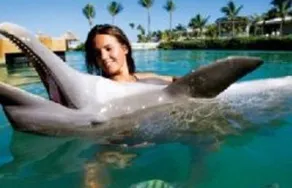 Hawks Cay Resort - Image 3