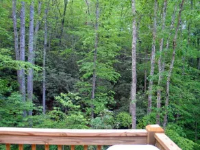 Rooster Ridge - Image 1