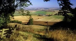 Wolds Cottage Pocklington - Image 4