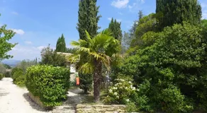 Les Mirabelles - Image 2