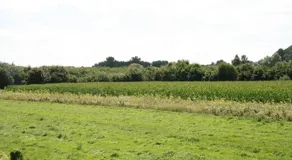 Aalsters Genot Bed & Breakfast - Image 5