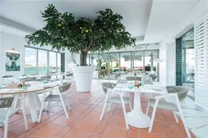 Th8 Palm Managed by Accor - Image 5
