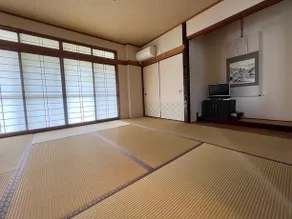 Hashimotoso - Image 1