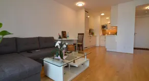 Vienna DC Living Apartment with parking on premise - Image 4