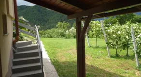 Stunning Mountain ECO-HOUSE "Pure Nature" for Rest and Recreation sorrounded by Nature - Image 5