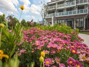 Yinhua Lake View Garden Hotel - Image 4