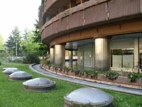 Arena - Image 2