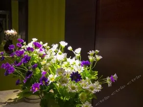 Weifang Ailishe Digital Hotel - Image 5