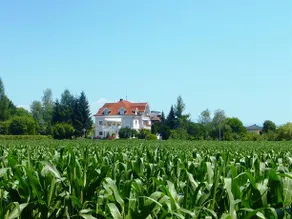 Appartements Villa Rose - Image 2