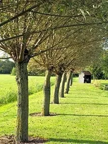 B&B Het Boeren Erf - Image 5