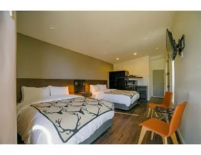 Terra Nova Cabins - Image 4