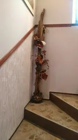 Deni Guest House - Image 3