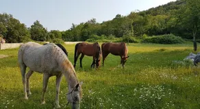 Oasis of Peace and Relaxation near Opatija - Image 3