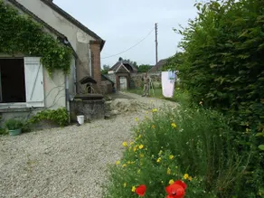 Le Saule Argente - Image 5
