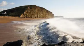 6 Driftwood - Image 4