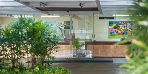 Tropical Tambau - Image 5