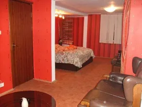 Pension Motanul Galanton - Image 3